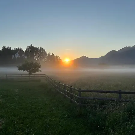 Forggensee , Schwangau-alterschrofen Im Allgaeu, Mit Koenigscard שוונגאו